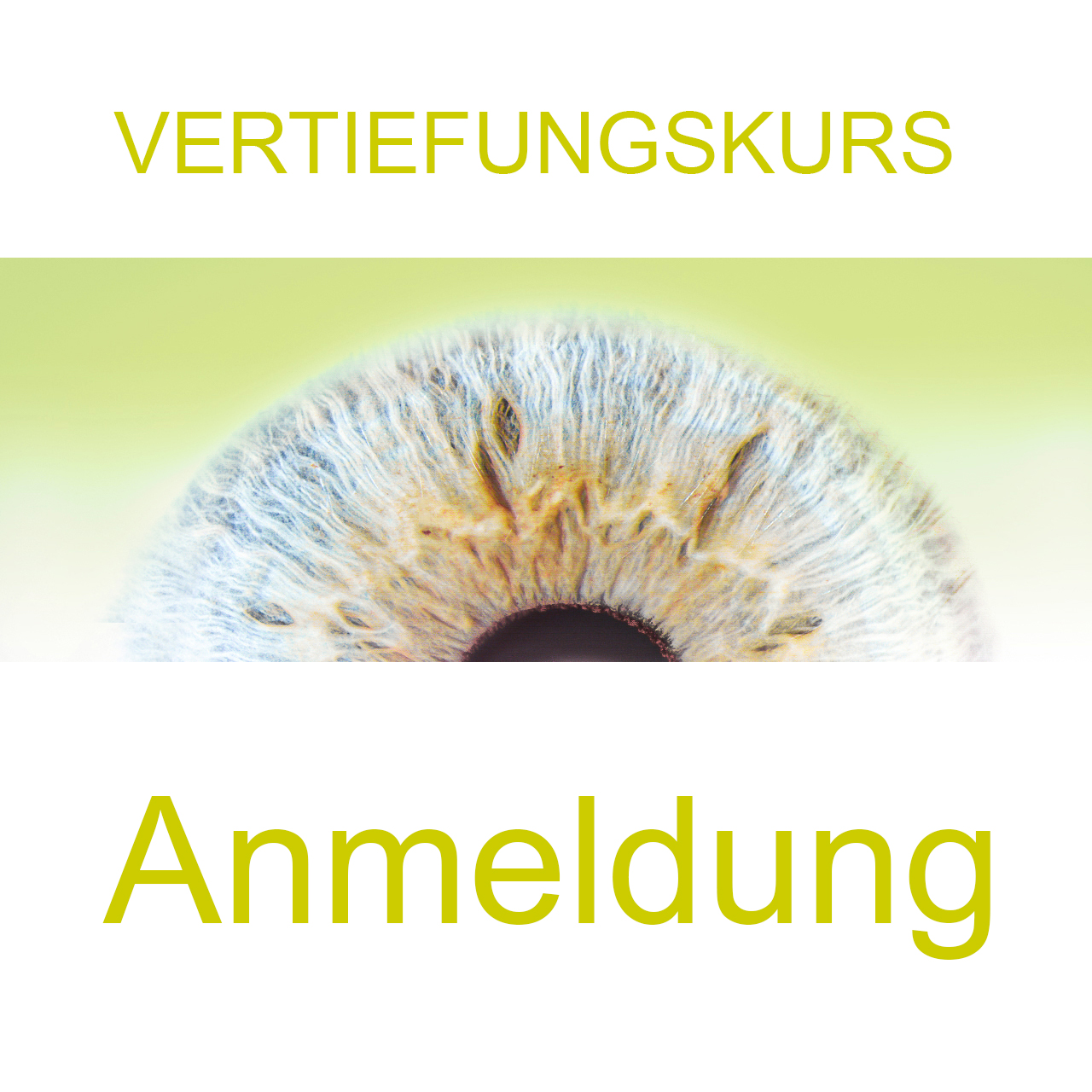 Vertiefungskurs
